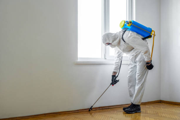 Reliable Howe, TX Pest Control Solutions