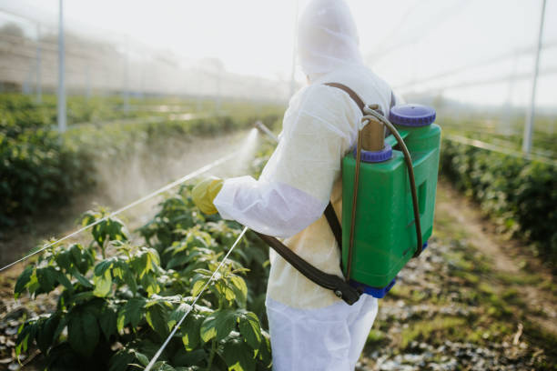 Best Pest Control Near Me  in Howe, TX